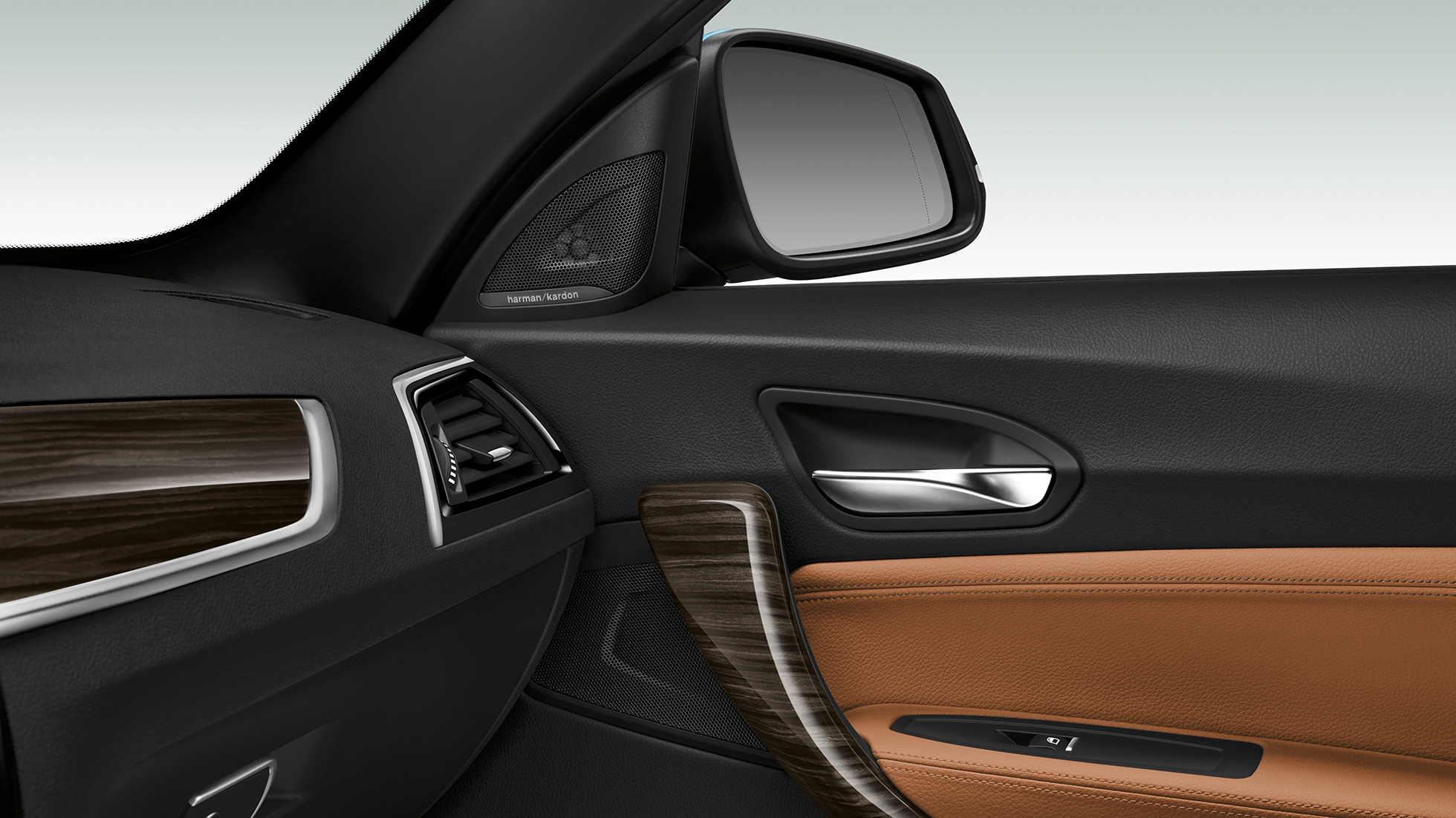 BMW Serie 2 Cabrio, panel de puertas laterales BMW Serie 2 Cabrio, panel de puertas laterales