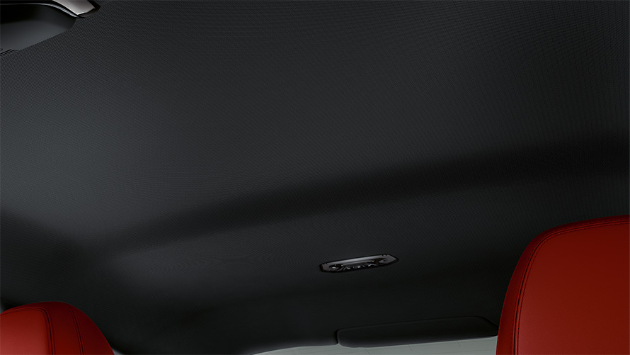 Techo BMW Individual en color antracita BMW Serie 4 Coupé G22 2020 Interior