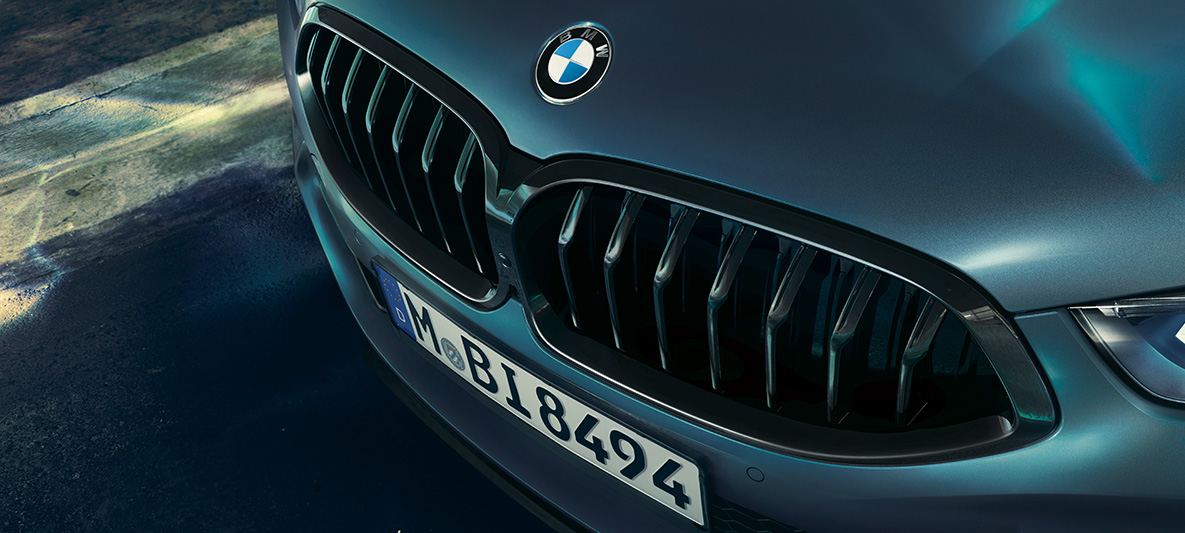 BMW M850i Coupé parrilla BMW Detalle de la parrilla BMW del BMW M850i Coupé