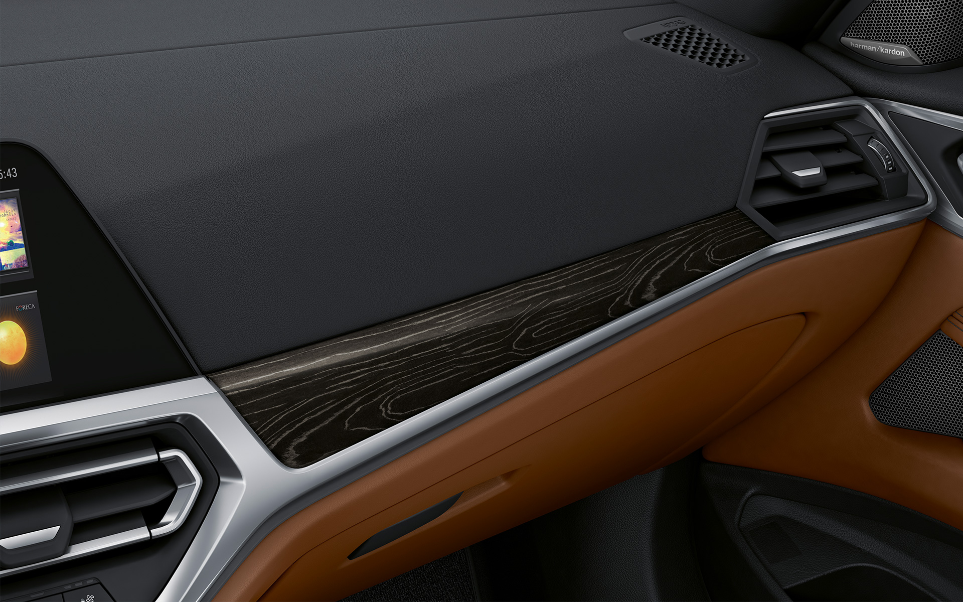 Molduras interiores de madera noble BMW Individual Fineline negro efecto plata, primer plano Molduras interiores de madera noble BMW Individual Fineline negro efecto plata, primer plano