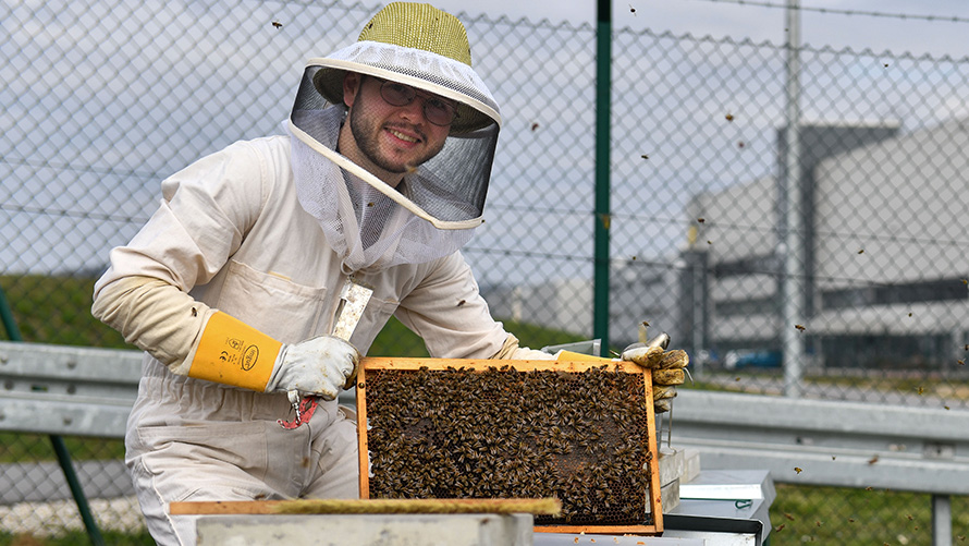 BMW Sostenibilidad Biodiversidad BMW Sostenibilidad Biodiversidad, apicultor con panal